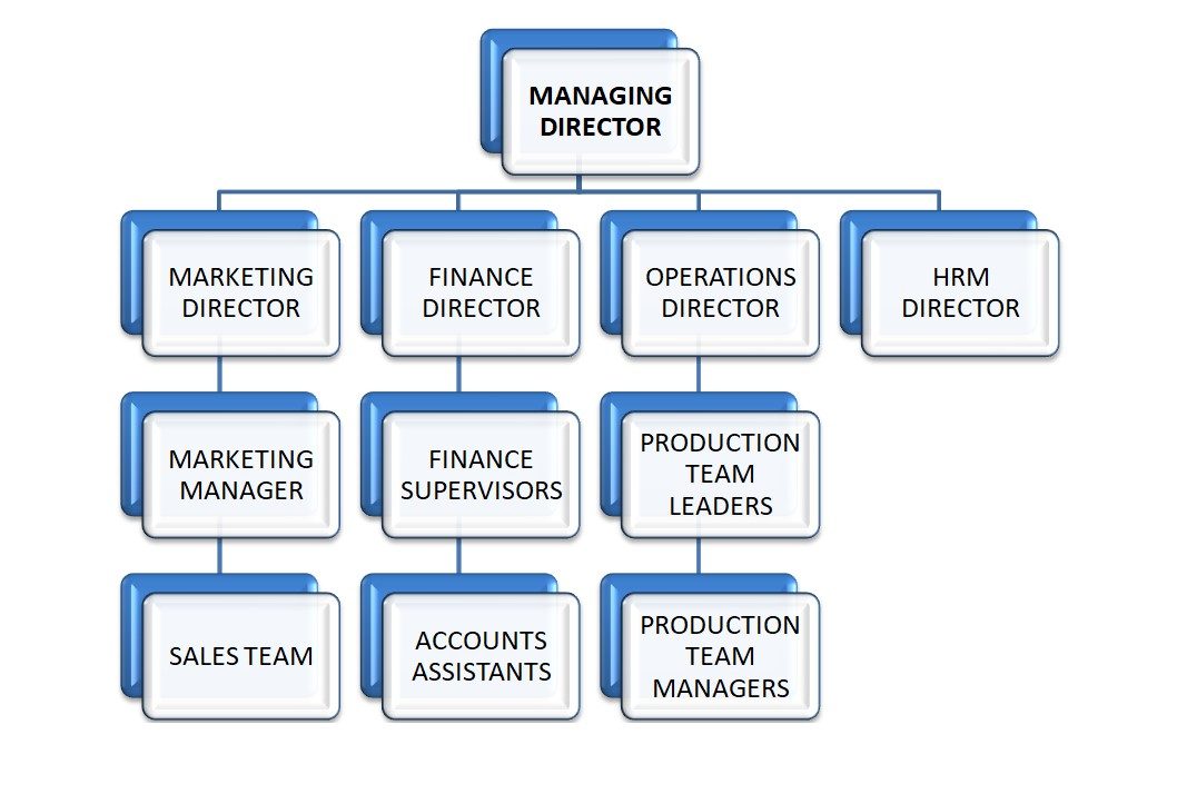 Organization Chart
